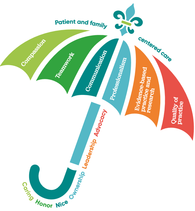 Nursing Practice model