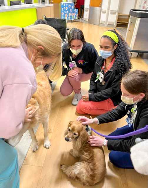 Visiting Pet Program With Staff 2 Volunteer Hamilton