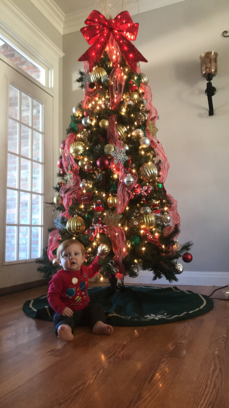 River in front of the holiday tree